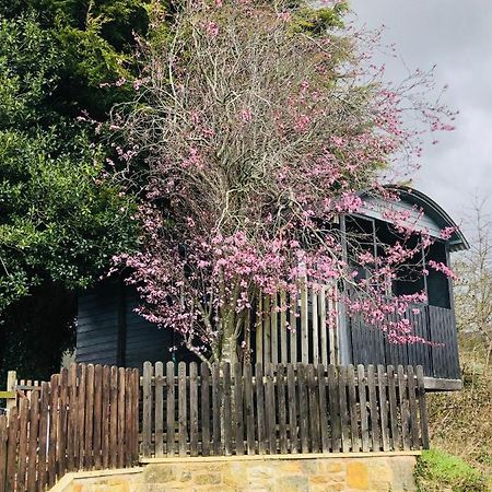 The Cherry Tree Gypsy Wagon 班伯里 外观 照片