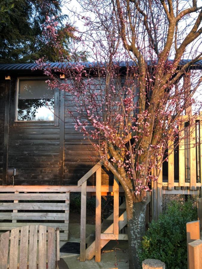 The Cherry Tree Gypsy Wagon 班伯里 外观 照片